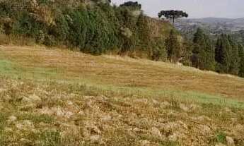 Imagem 5: Vendo terreno no bairro Recreio Topázio em Caucaia
