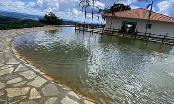 Imagem 4: Fazenda de Luxo em Pirinoplolis 36 alq. Sede muito boa 13 milhões