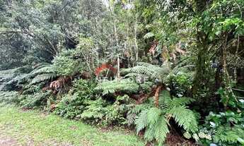 Imagem 6: Lote em Rua 21 - Alpes - São Francisco de Paula/RS