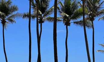 Imagem 4: Vendo terreno 245m Villaredo Barra