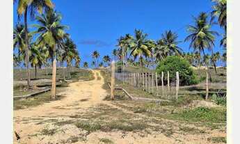 Imagem 7: Terrenos próximos ao mar em Sítio do Conde -Bahia