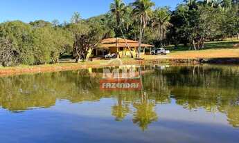 Imagem: Fazenda 16,6 alqueires (80,3 hectares) Pirenópolis