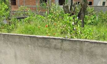 Imagem 4: Ótimo terreno em Santa Cruz