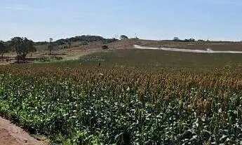 Imagem 5: Excelente fazenda dupla aptidão com 517 hectares e ótimas estruturas à venda em Paracatu