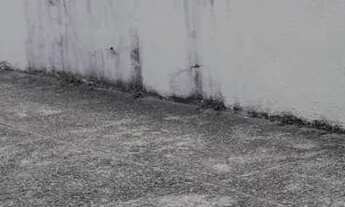 Imagem 5: Casa em area comercial