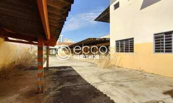 Imagem: Galpão para aluguel, Martins - Uberlândia/MG