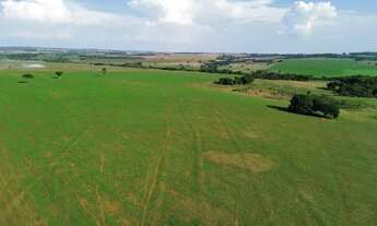 Imagem: Fazenda a venda em Indiara Goiás!!!