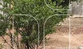 Imagem 2: Comercial em Jardim Maria Izabel - Marília