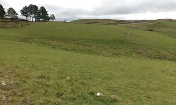 Imagem 5: Lote em São Francisco de Paula - Centro - São Francisco de Paula/RS