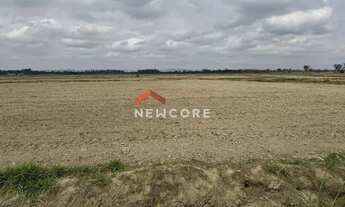 Imagem 2: Fazenda em Vgv- Estimado Em Hum Bilhão de Reaisfilé de Areade Empreendedorismo Turistico E