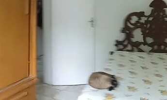 Imagem 4: Casa em Vargem Grande. Leiam até o final!