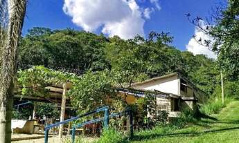 Imagem 4: Temporada Carnaval tranquilo