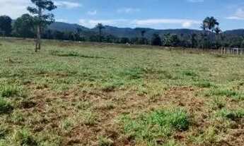 Imagem 3: Sítio de 33 hectares região da serra de sao Vicente.
