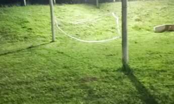 Imagem 4: Chácara 2,65 alqueires