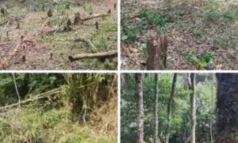 Imagem: Terreno 40mil metros Juquitiba