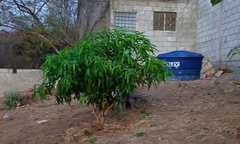 Imagem 2: Terreno pronto pra chácara