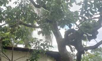 Imagem 7: Fazenda Chácara com venda por R$950.000