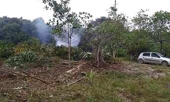 Imagem 4: Vendo terreno zona Rural, Novo Airão, no ramal Vale Dourado, comunidade Bom Jesus