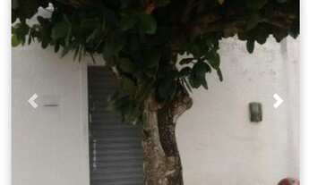 Imagem 3: Casa em Santana do Ipanema