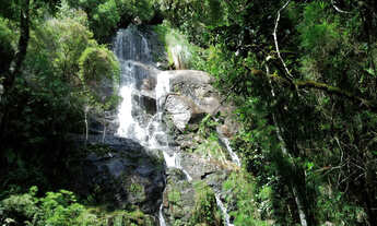 Imagem: Sítio com 5 Cachoeiras