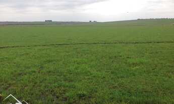 Imagem 3: Fazenda 1080 hec. à venda com casa 3 dormitórios cod:10211