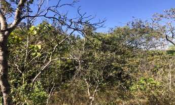 Imagem 7: Grande Oportunidade em São Jose do Almeida, chácara de 10.000 m² (Temos varias opções)