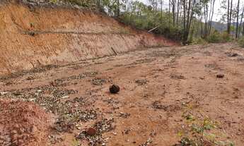 Imagem 6: Vendo chácara Marechal Floriano Alto Nova Almeida