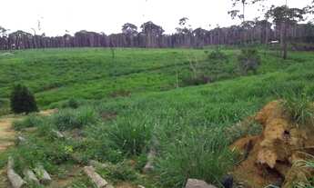 Imagem 5: Vendo terra! Fazenda / sítio com venda por R$400.000