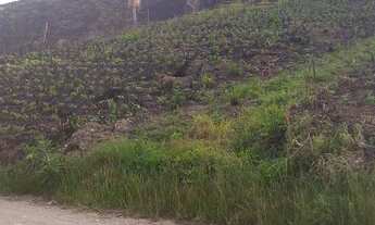 Imagem 6: Chácara Almirante Tamandaré 21.000m², 16Km de Curitiba, luz, 2km asfalto