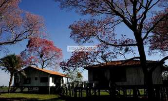 Imagem: Fazenda para Venda em Corumbá, Centro