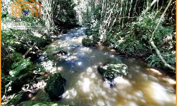 Imagem 7: Terreno para Venda em Olaria, Zona Rural