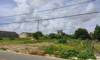 Imagem 3: Terreno localizado no rosa elze. Oportunidade única!