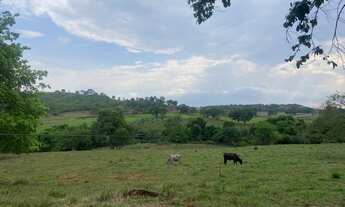 Imagem 2: Excelente chácara em Nova Veneza