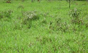 Imagem 5: Áres para Conjunto Residêncial ou loteamento - Estrada do Barreiro