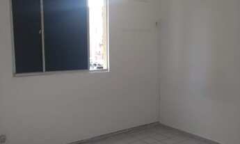 Imagem 3: Bosque dos eucaliptos