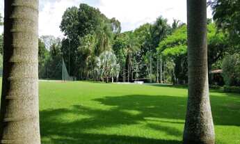 Imagem 7: Santo Antônio de Posse - Fazenda - Santo Antônio de Posse