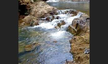 Imagem: Chácara no Incra 09 Ceilândia - DF na