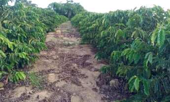 Imagem 2: $ vendo terreno na regiao de domingos martins