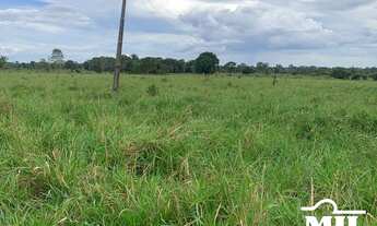 Imagem 3: Fazenda Margem do Rio Araguaia-PA. > 26 Alq. (126 Há