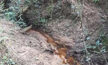 Imagem 4: Chácara em Glorinha RS, com vertentes e Escriturada!