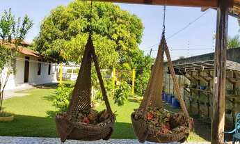 Imagem 2: REFERÊNCIA em MOSQUEIRO