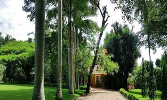 Imagem: Santo Antônio de Posse - Fazenda - Santo