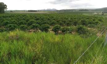 Imagem 7: $ vendo terreno na regiao de domingos martins