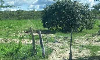 Imagem 2: Terreno com 5 tarefas em Canidé do São Francisco-SE, aceito troca!