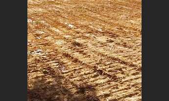 Imagem 3: Chácara de 3 mil metros com proprietário