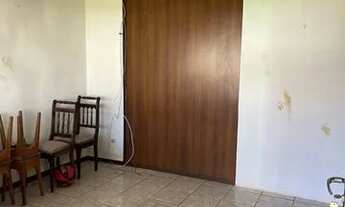 Imagem 5: Madeiras de peroba