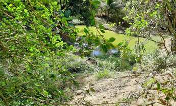 Imagem 8: SITIO COM 24,2 HECTARES - SANTA MARIA MADALENA