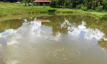 Imagem 7: 11 alqueires Chácara com venda por R$5.500