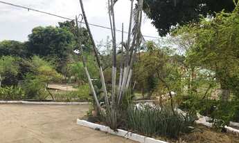 Imagem 7: Imóvel excelente para construtora