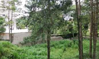 Imagem 4: Apartamento com 2 dormitórios para alugar, 42 m² por R$ 1.906,71/mês - Bigorrilho - Curiti